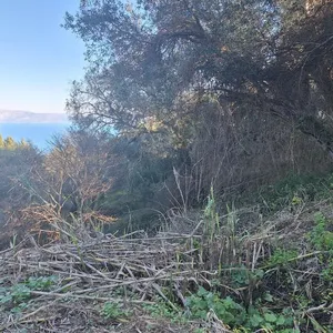 Земельный участок в Corfu, фото 4