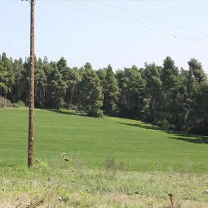 Земельный участок в Kassandra Municipality, фото 2