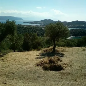 Земельный участок в Aristotle University of Thessaloniki, фото 3