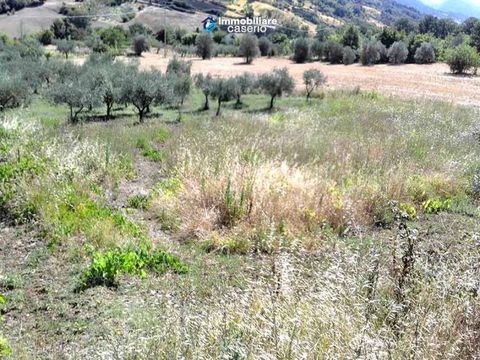 Коттедж в Карункьо