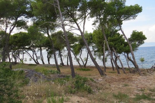 Земельный участок в Сутиван