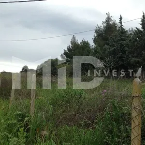 Земельный участок в Каллифея (Кассандра), фото 2