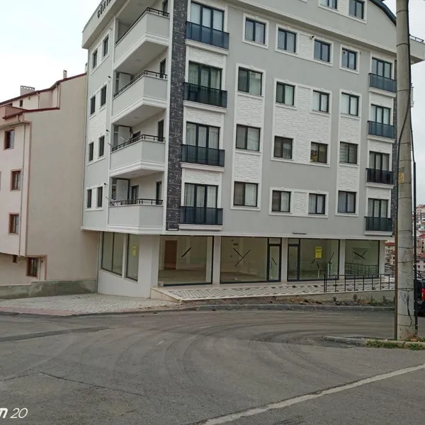 Коммерческая недвижимость в Беязыт Махаллеси, фото 1