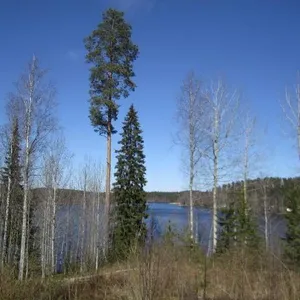 Отдельный дом в Луумяки, фото 2