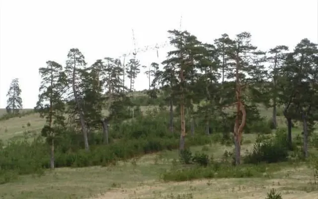 Земельный участок в Златибор