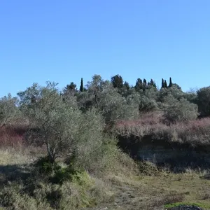 Земельный участок в Corfu, фото 5