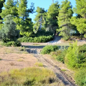 Земельный участок в Kassandra Municipality, фото 3