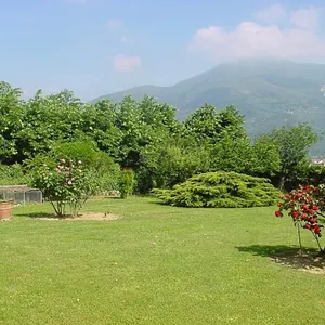 Вилла в Камайоре, фото 3