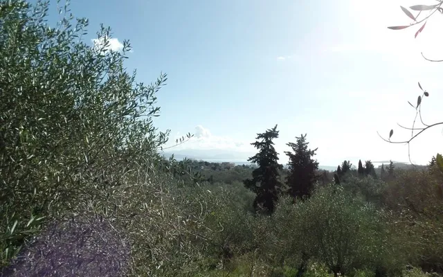 Земельный участок в Corfu