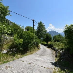 Земельный участок в Моринь, фото 3