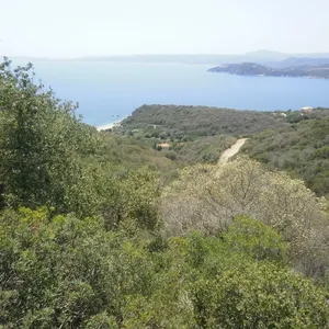Земельный участок в Aristotle University of Thessaloniki, фото 4