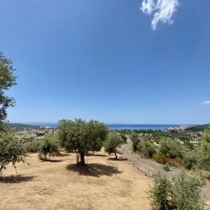 Земельный участок в Ситониа, фото 5