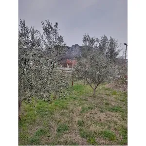 Земельный участок в Meteora Municipality, фото 3