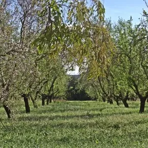 Вилла в Хавеа, фото 4