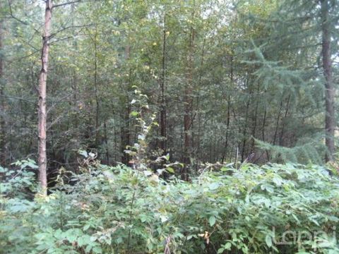 Земельный участок в Коувола