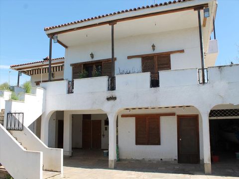 Вилла в Каллифея (Кассандра)