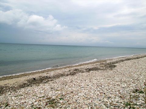 Земельный участок в Тасос