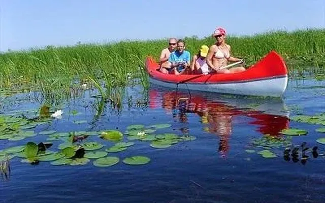 Коммерческая недвижимость в Тисафюред