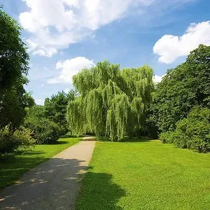 Коттедж в Прага, фото 5