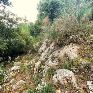 Земельный участок в Corfu, фото 3