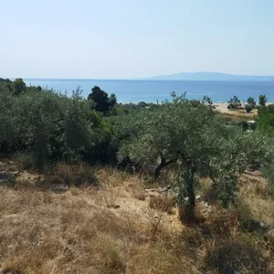Земельный участок в Aristotle University of Thessaloniki, фото 5
