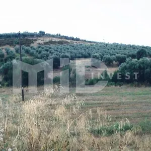 Земельный участок в Ормилия, фото 4