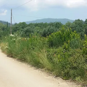 Земельный участок в Corfu, фото 2