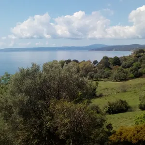 Земельный участок в Aristotle University of Thessaloniki, фото 3