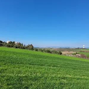 Земельный участок в Микра, фото 4