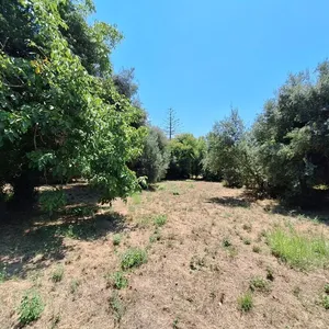 Земельный участок в Corfu, фото 4