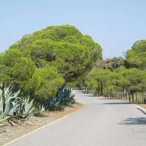Квартира в Гуардамар-дель-Сегура, фото 4