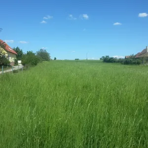 Земельный участок в Кестхей, фото 3