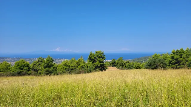 Земельный участок в Халкидики