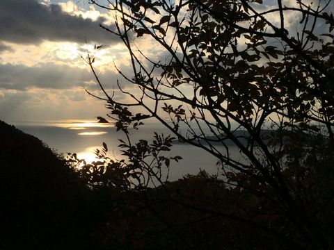 Земельный участок в Кульяче