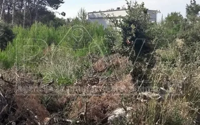 Земельный участок в Вир
