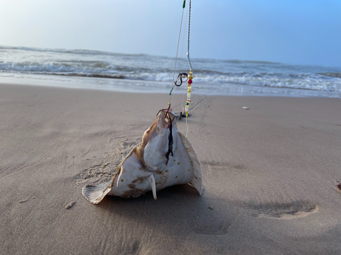 Земельный участок в Вентспилсский край