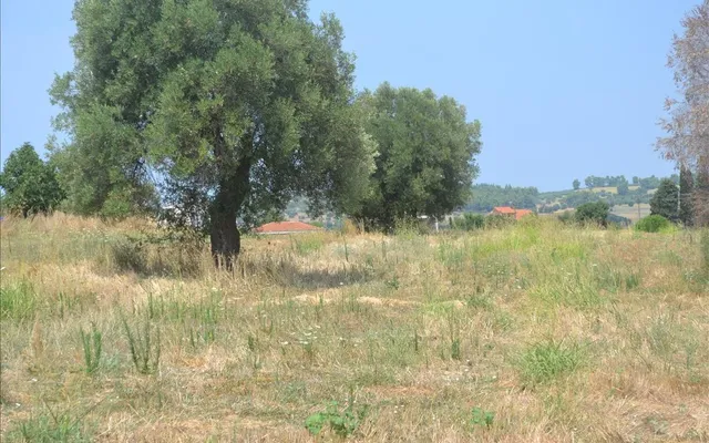 Земельный участок в Kassandra Municipality