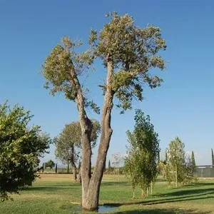 Отдельный дом в Гроссето, фото 4