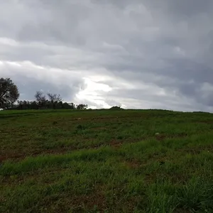 Земельный участок в Kassandra Municipality, фото 5