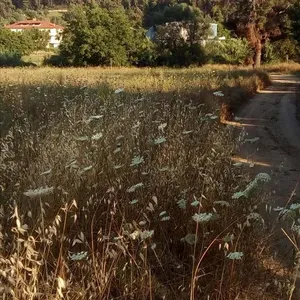 Земельный участок в Kassandra Municipality, фото 2