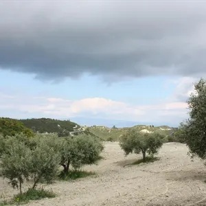 Земельный участок в Kassandra Municipality, фото 4