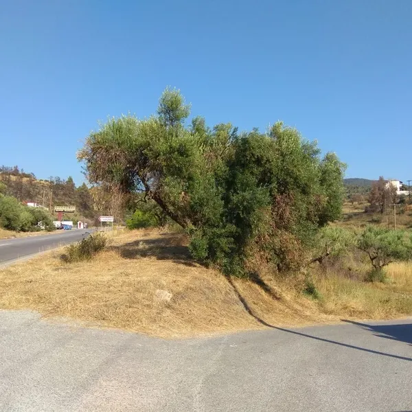 Земельный участок в Ситониа, фото 1