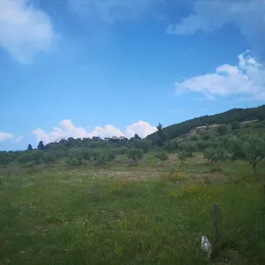 Земельный участок в Kassandra Municipality, фото 3