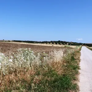 Земельный участок в Муниципалитет Неа-Пропонтида, фото 3
