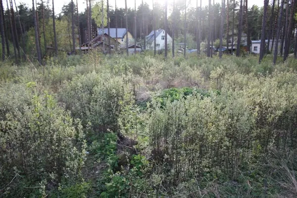 Земельный участок в Юрмала