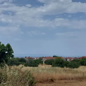 Земельный участок в Ситониа, фото 4