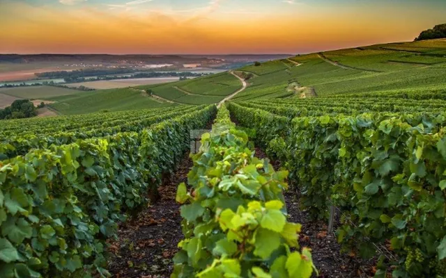 Отель в Nouvelle-Aquitaine
