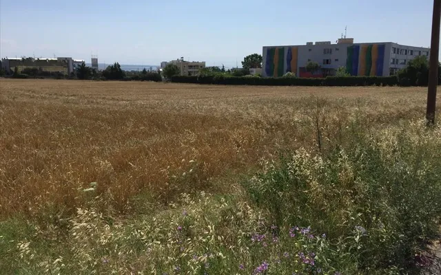 Земельный участок в Терми