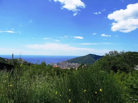 Земельный участок в Марковичи