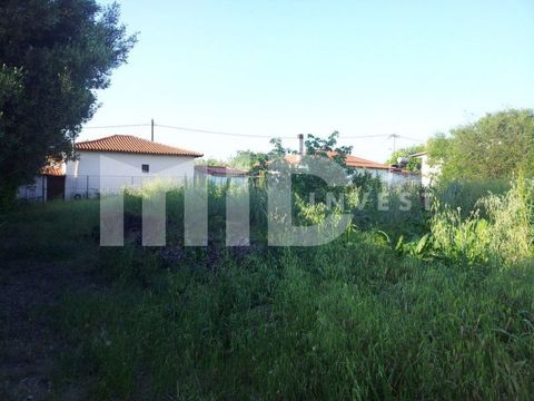 Земельный участок в Неа-Мудания